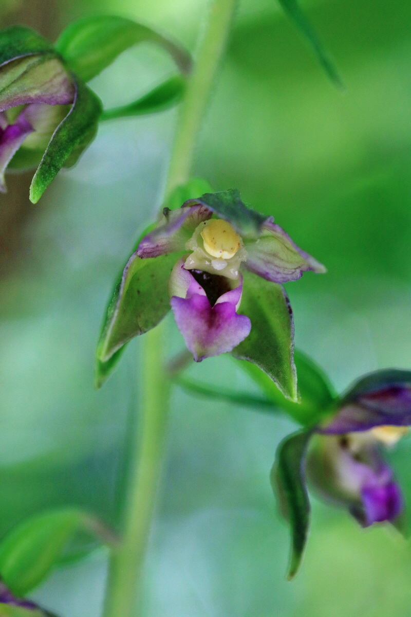 IMG-2016-07-24-00021330p_Bildgr��e �ndern