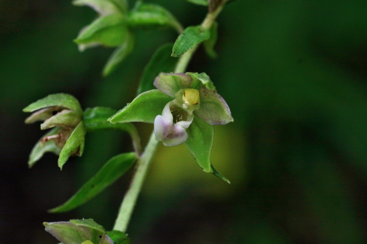 IMG-2016-07-24-00021335p_Bildgr��e �ndern