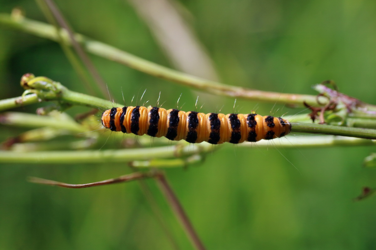 IMG-2016-07-24-00021354p_Bildgr��e �ndern