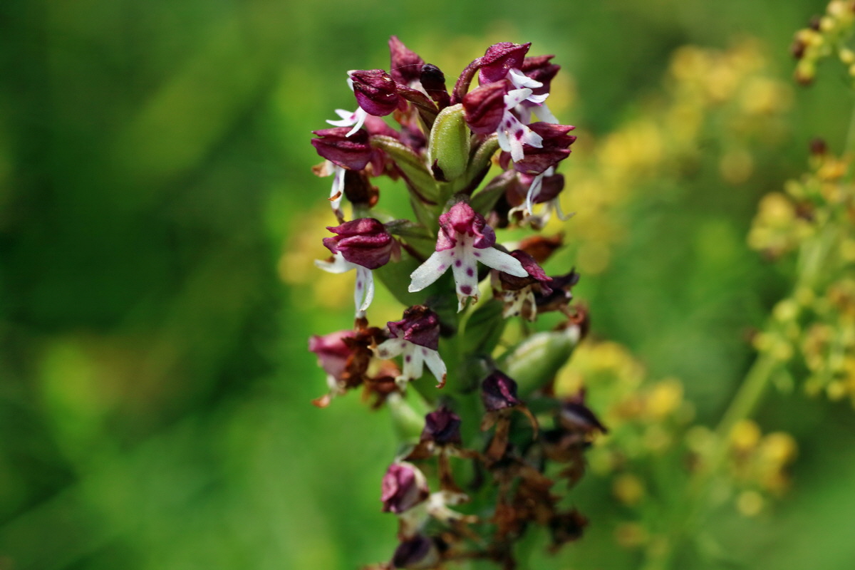 IMG-2016-07-24-00021360p_Bildgr��e �ndern