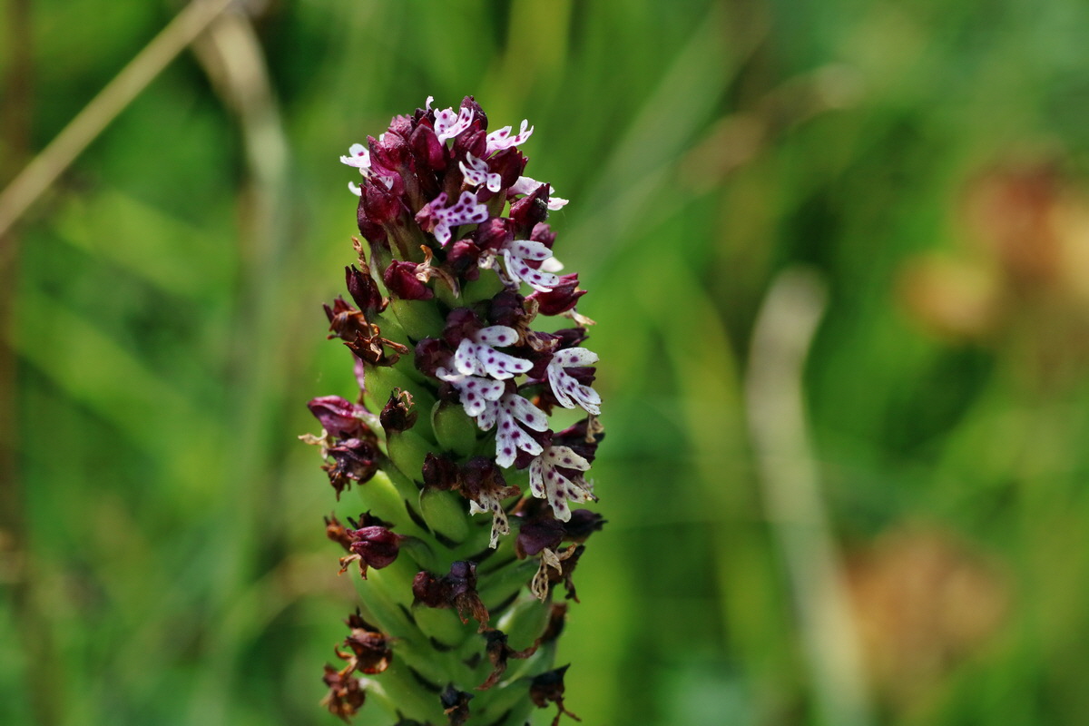 IMG-2016-07-24-00021363p_Bildgr��e �ndern