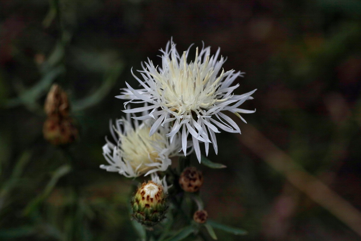 IMG-2016-07-24-00021374p_Bildgr��e �ndern