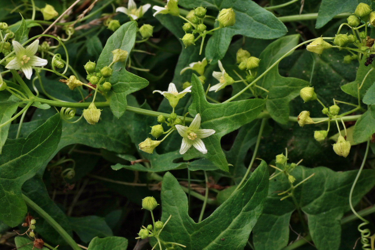 IMG-2016-07-24-00021395p_Bildgr��e �ndern