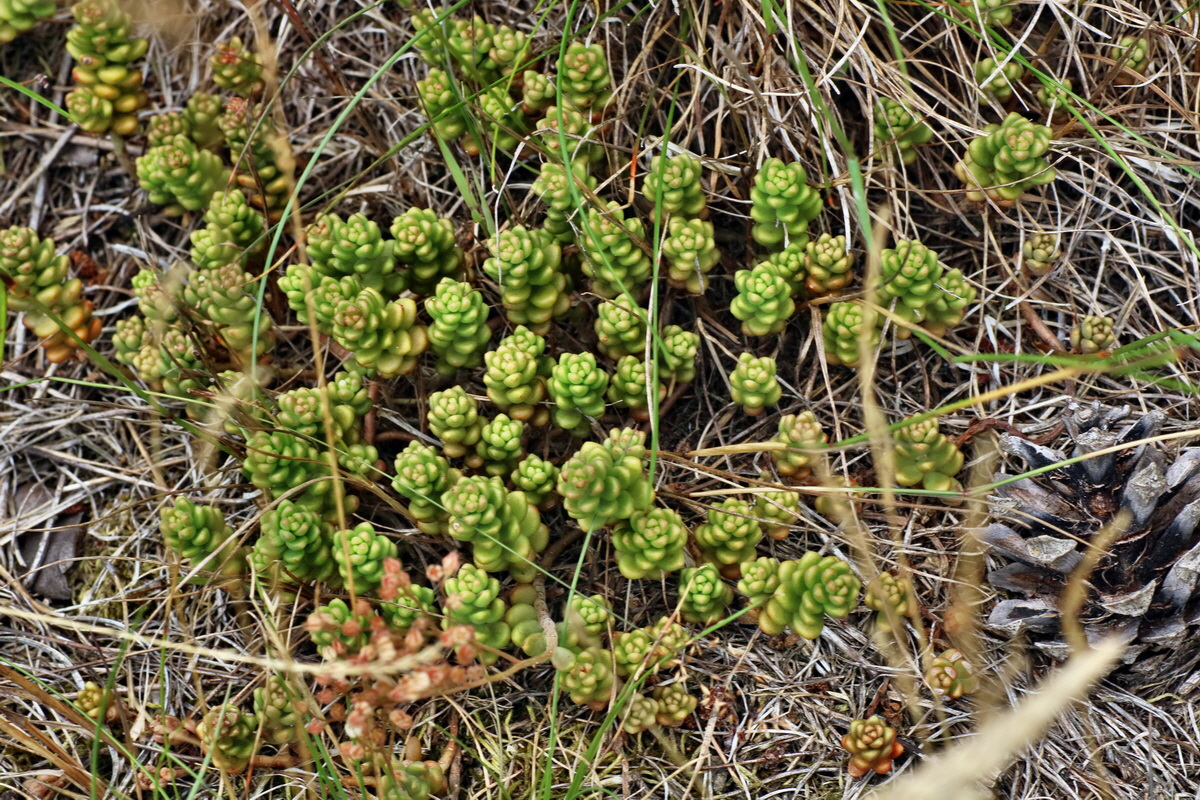 IMG-2016-07-24-00021400p_Bildgr��e �ndern