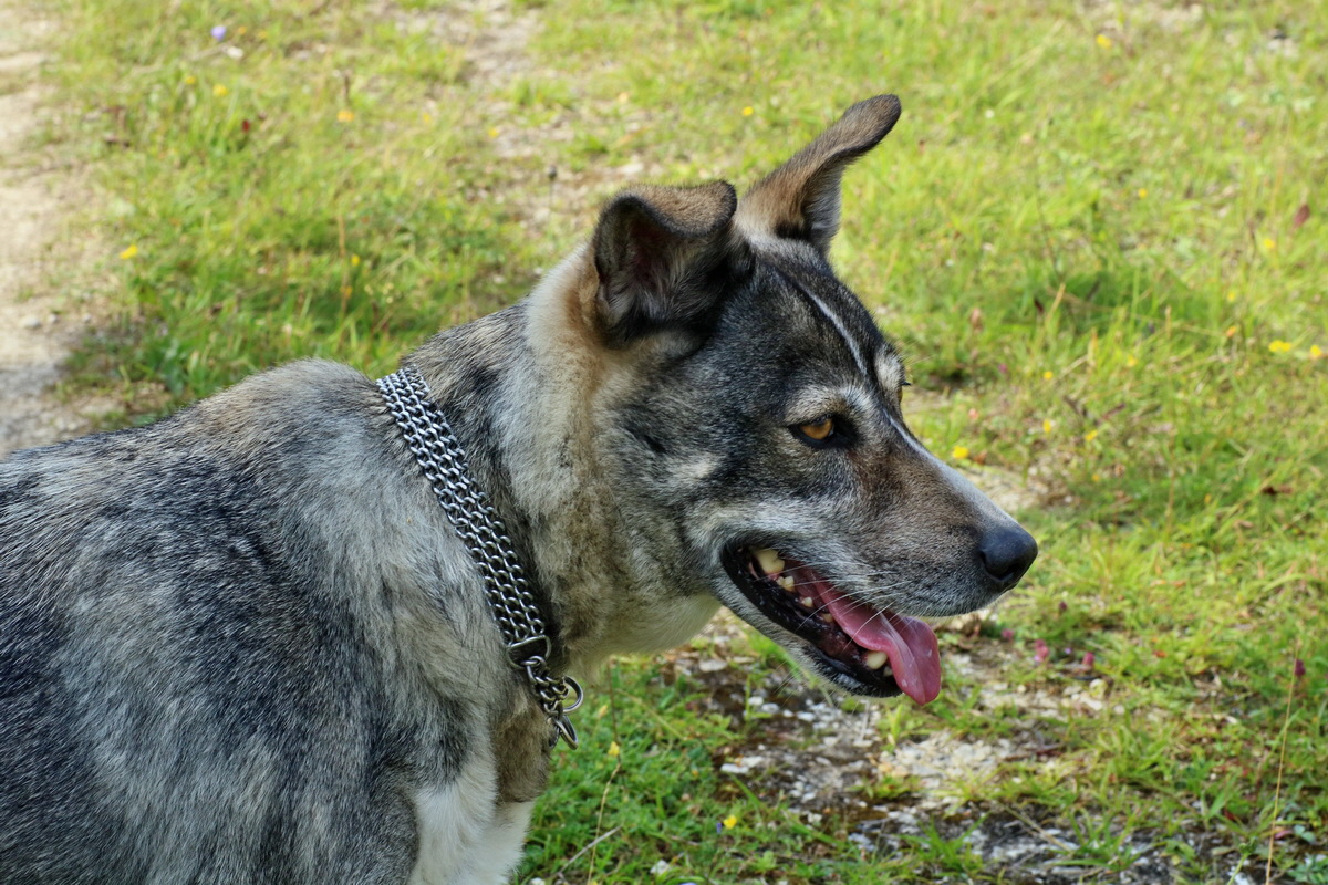 IMG-2016-07-24-00021433p_Bildgr��e �ndern