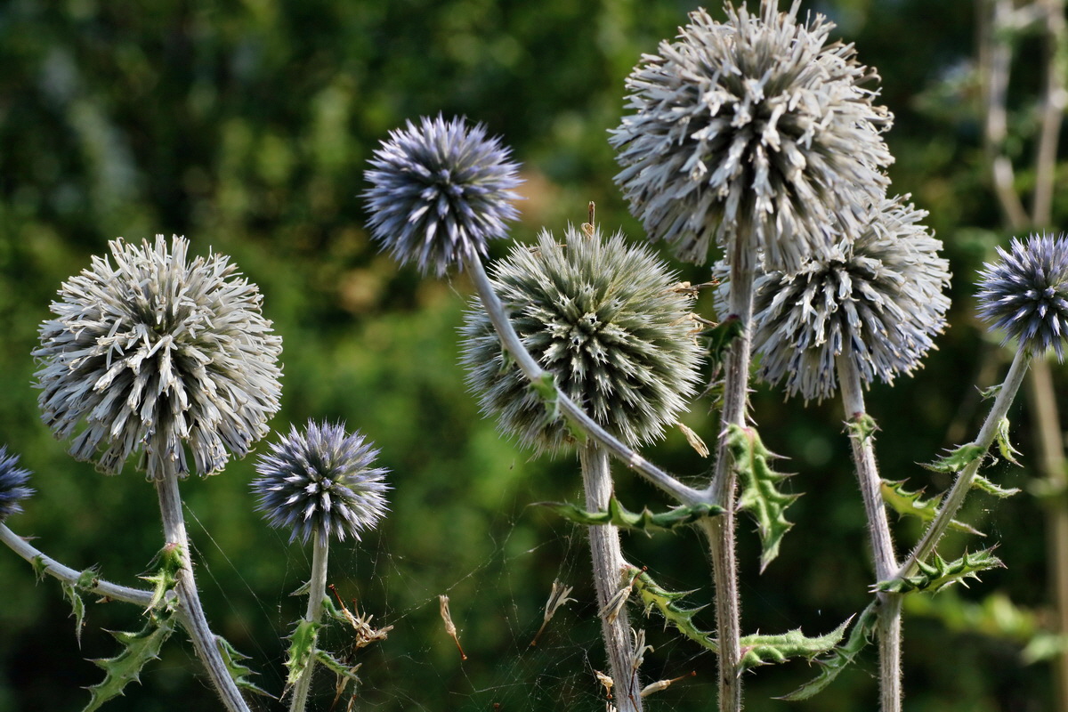 IMG-2016-07-24-00021438p_Bildgr��e �ndern