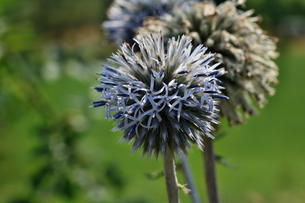 IMG-2016-07-24-00021449p_Bildgr��e �ndern