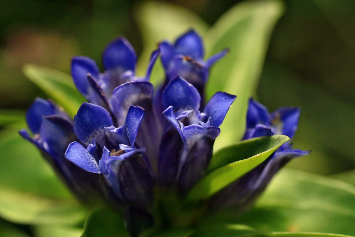 2016_07_31_025734p_Bildgr��e �ndern