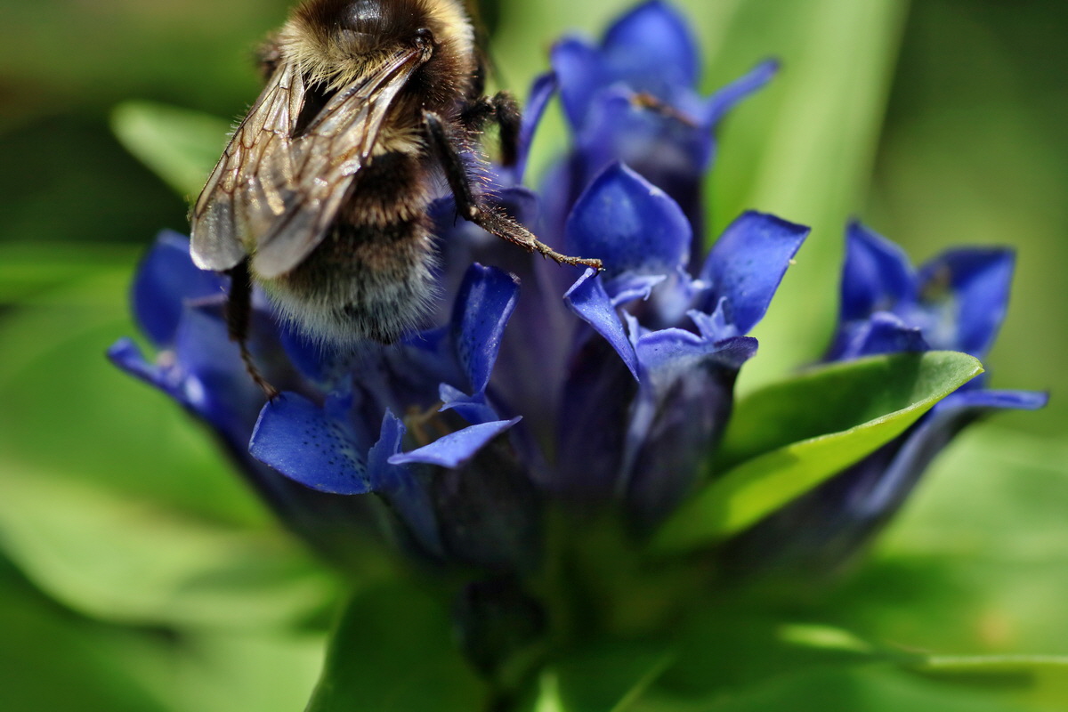 2016_07_31_025744p_Bildgr��e �ndern