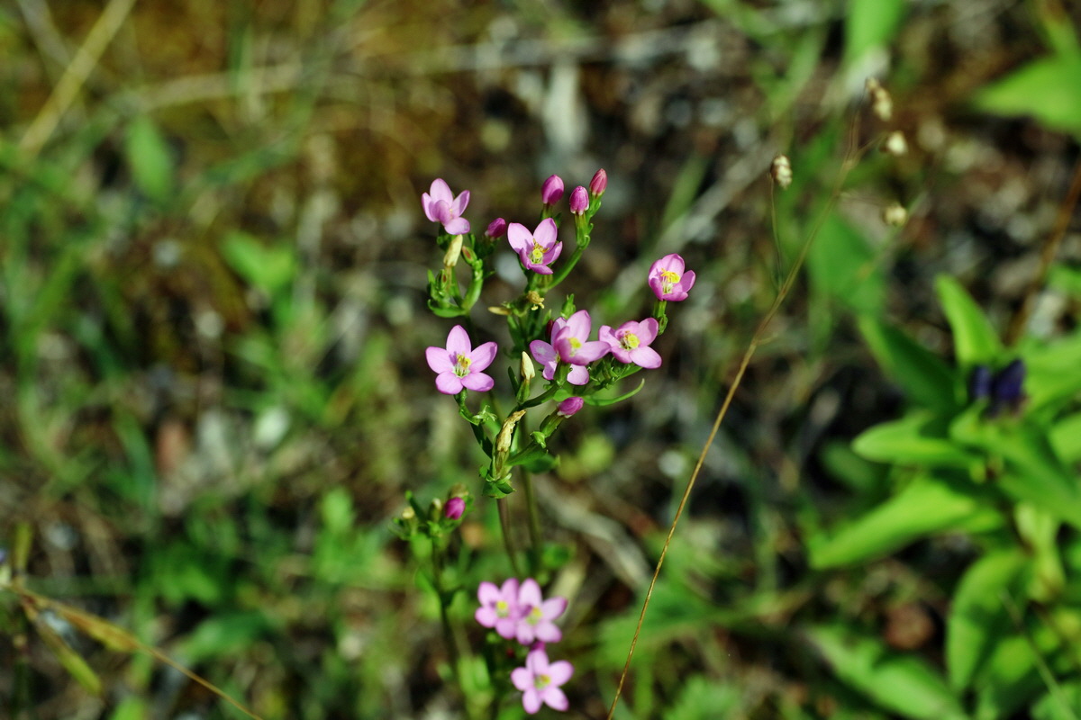 2016_07_31_025753p_Bildgr��e �ndern