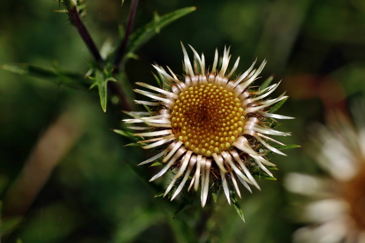 2016_07_31_025824p_Bildgr��e �ndern