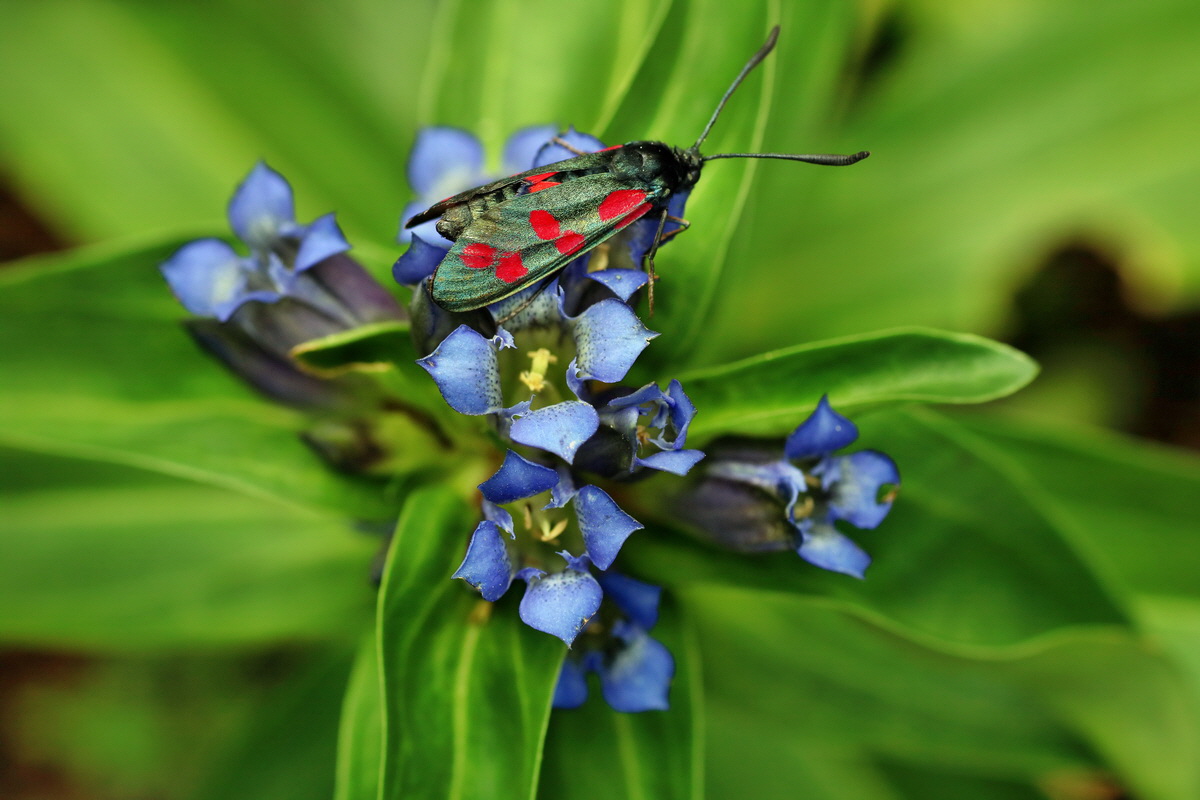 2016_07_31_025828p_Bildgr��e �ndern