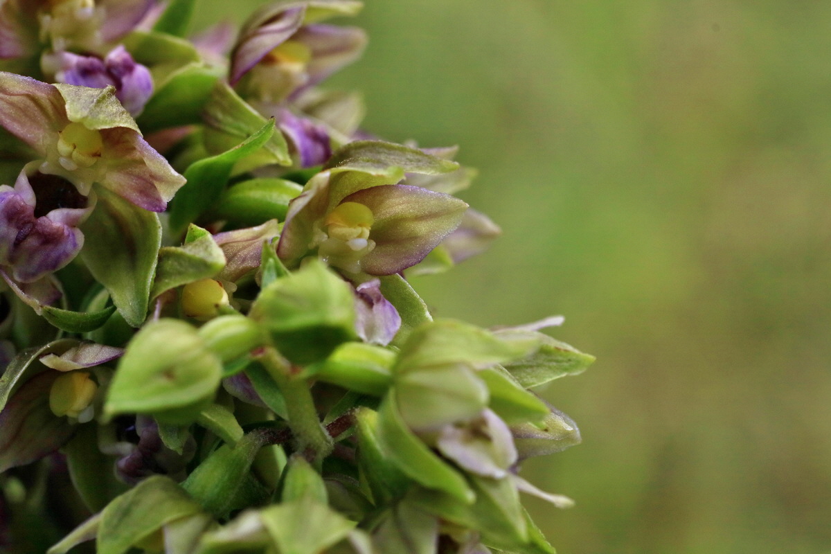 2016_07_31_025833p_Bildgr��e �ndern