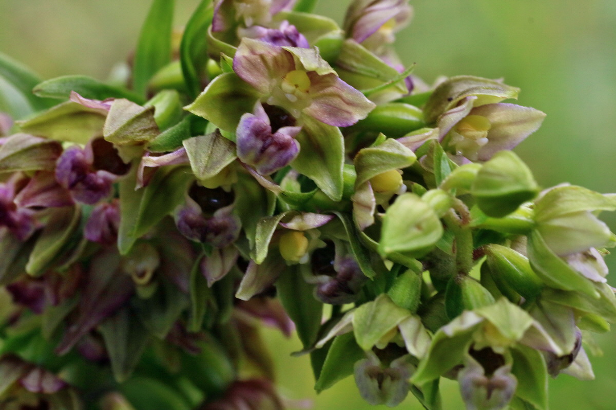 2016_07_31_025835p_Bildgr��e �ndern