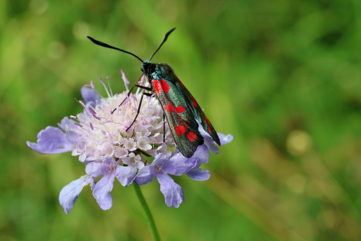 2016_07_31_025848p_Bildgr��e �ndern