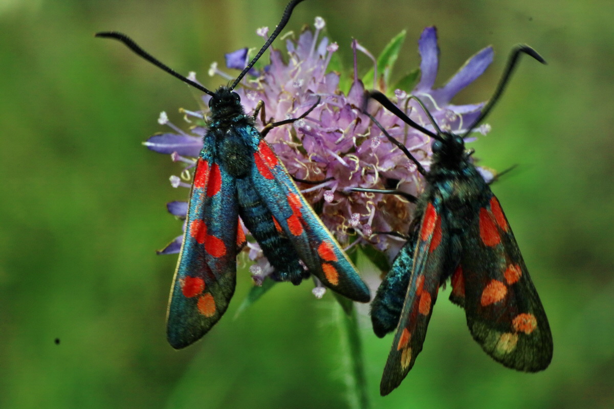 2016_07_31_026007p_Bildgr��e �ndern