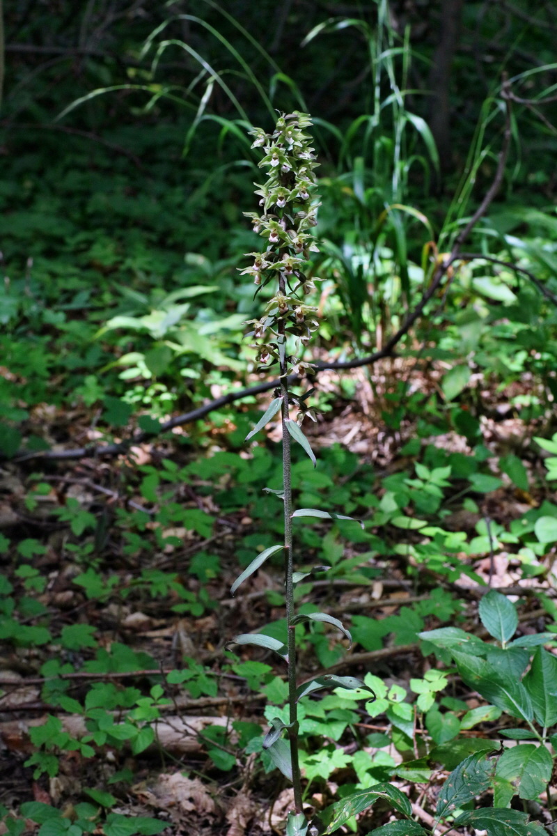 2016_07_31_026029p_Bildgr��e �ndern