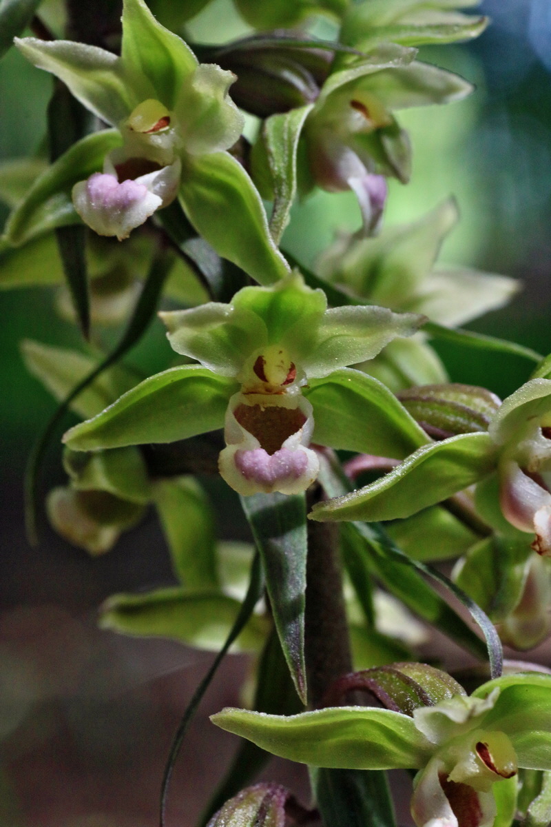 2016_07_31_026035p_Bildgr��e �ndern