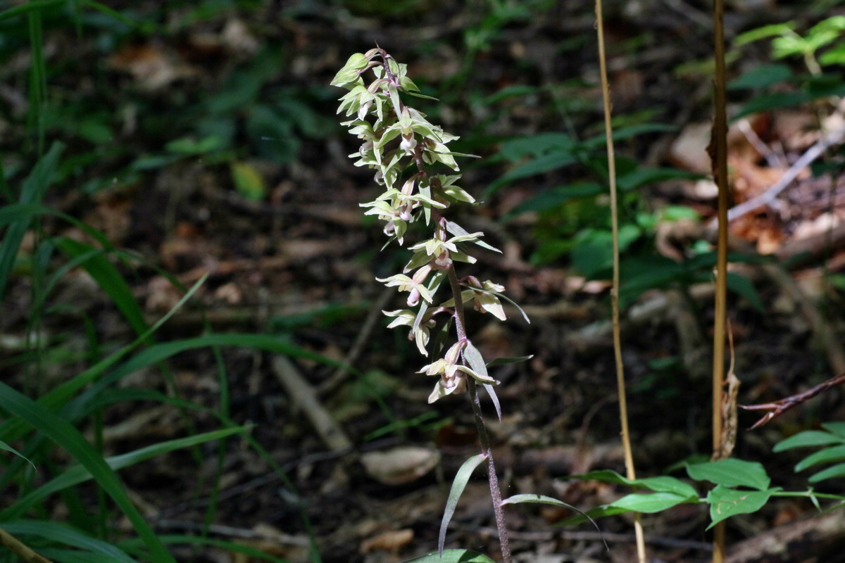 2016_07_31_026044p_Bildgr��e �ndern