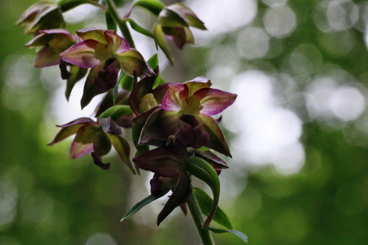 2016_07_31_026054p_Bildgr��e �ndern