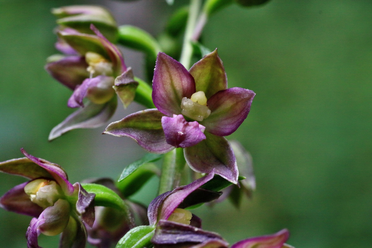 2016_07_31_026060p_Bildgr��e �ndern