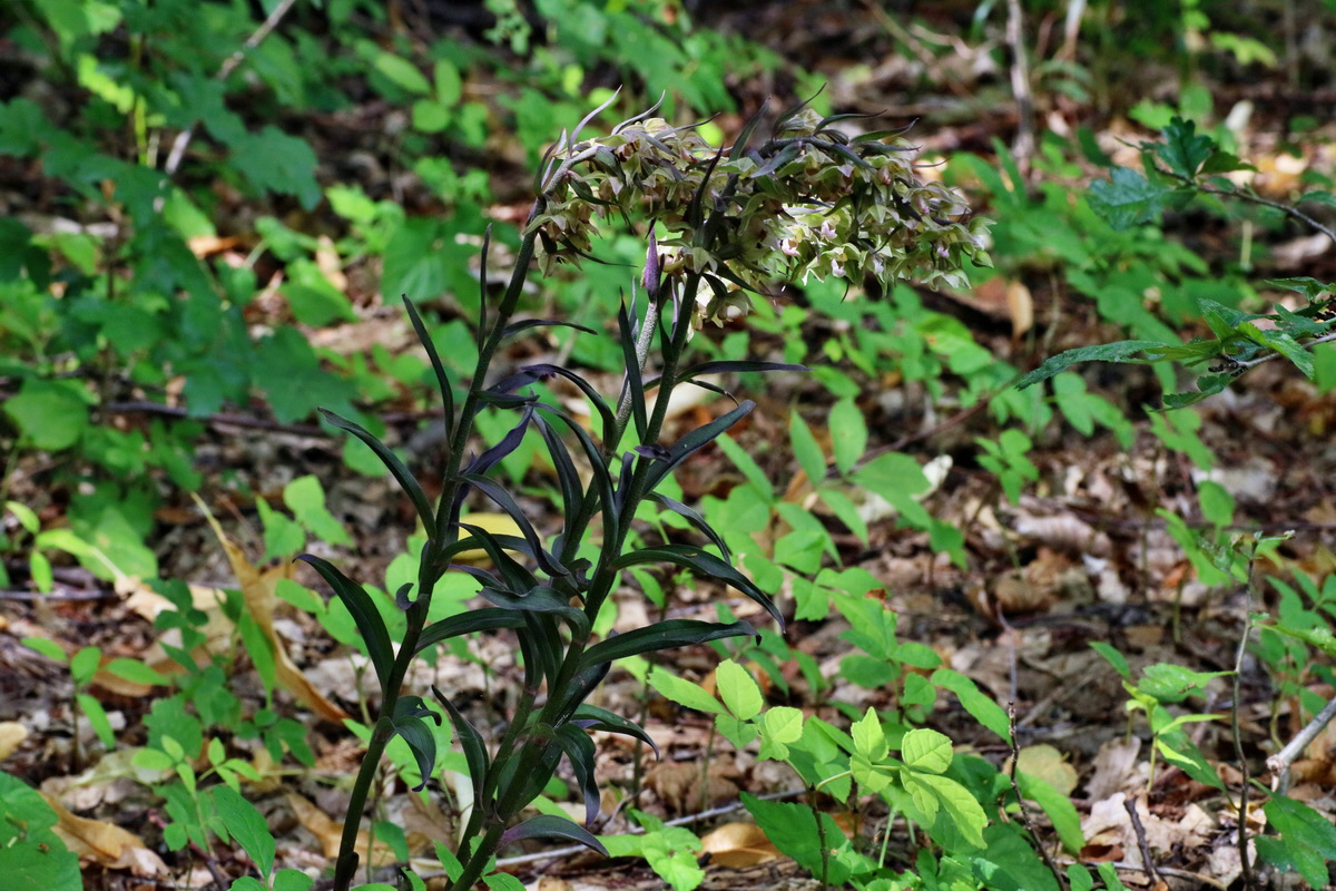 2016_07_31_026124p_Bildgr��e �ndern