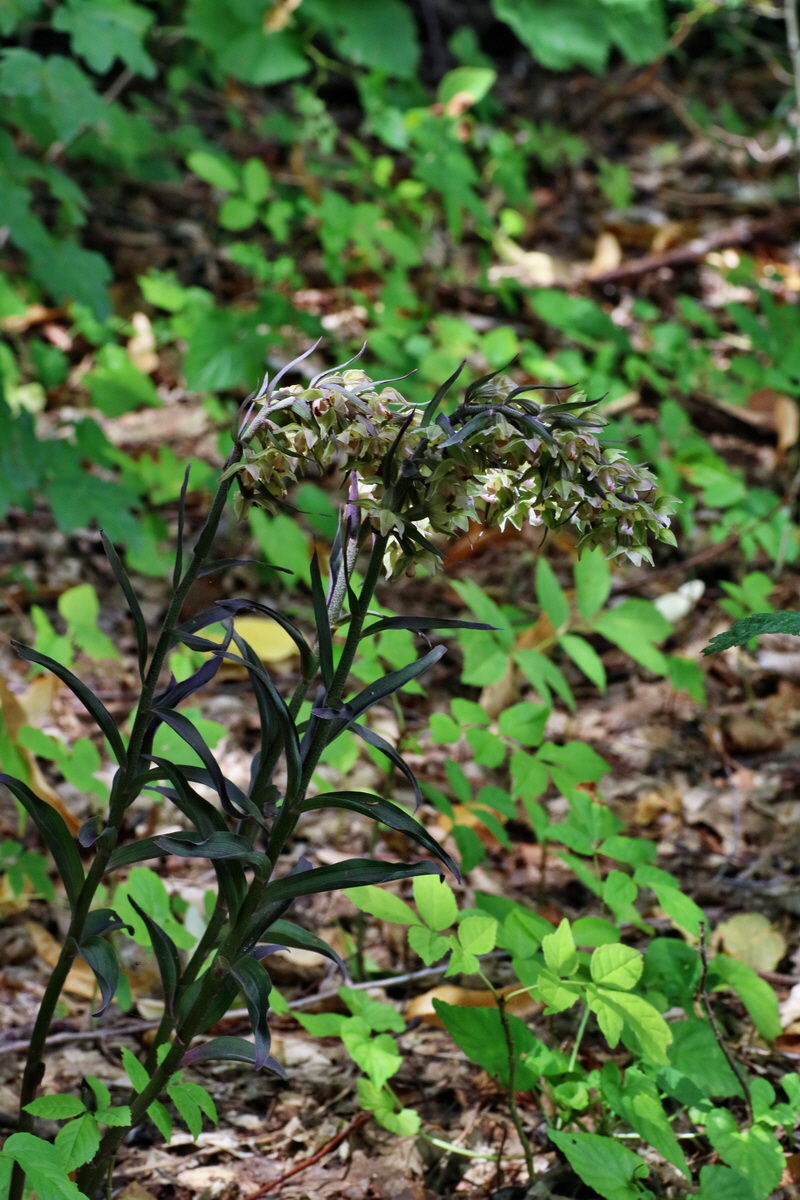 2016_07_31_026130p_Bildgr��e �ndern