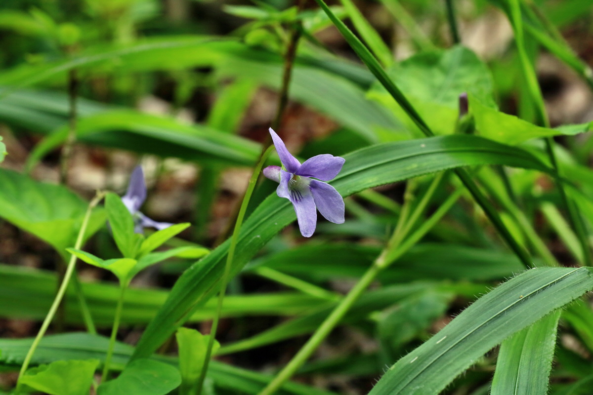 2016_07_31_026133p_Bildgr��e �ndern