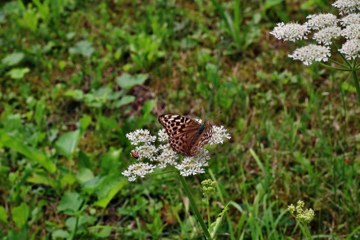 2016_07_31_026137p_Bildgr��e �ndern