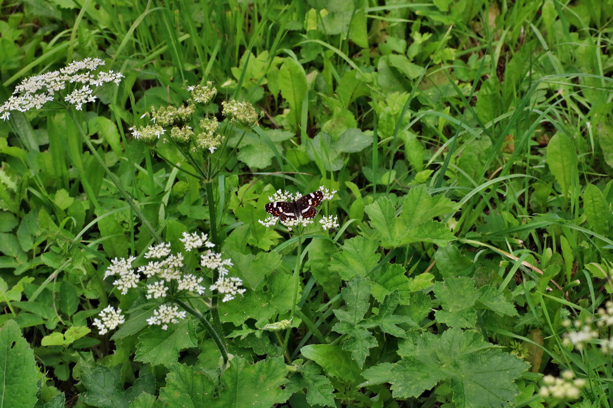 2016_07_31_026157p_Bildgr��e �ndern