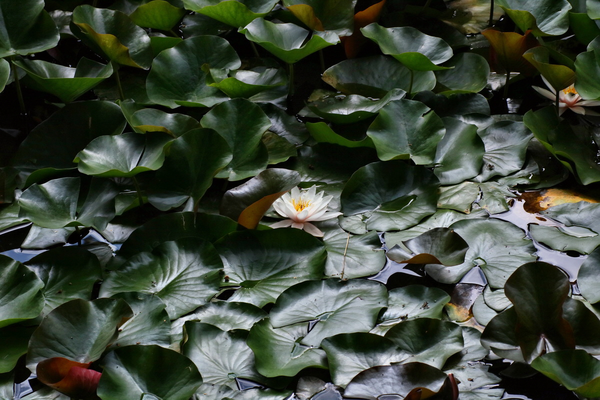 2016_07_31_026173p_Bildgr��e �ndern