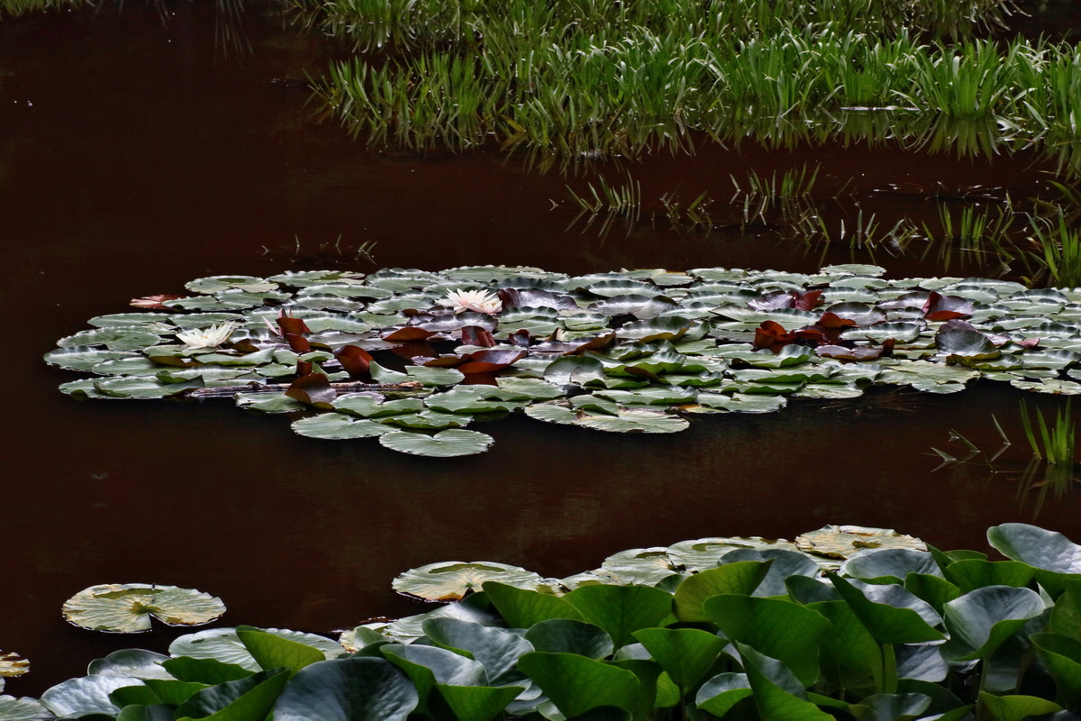 2016_07_31_026175p_Bildgr��e �ndern