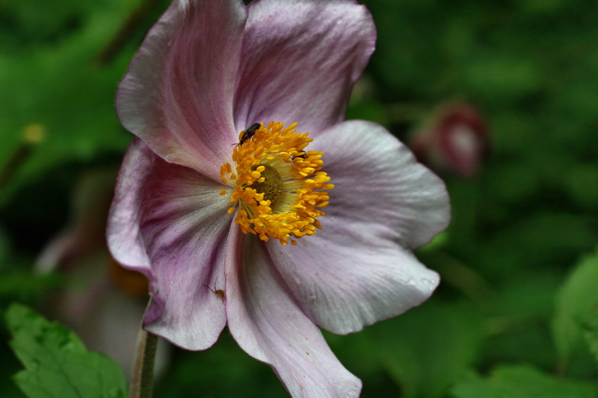 2016_07_31_026182p_Bildgr��e �ndern