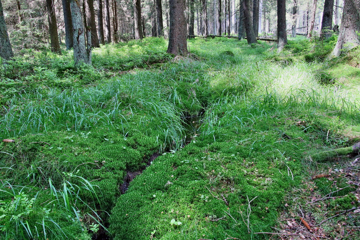 IMG-2016-06-04-00017823p_Bildgr��e �ndern