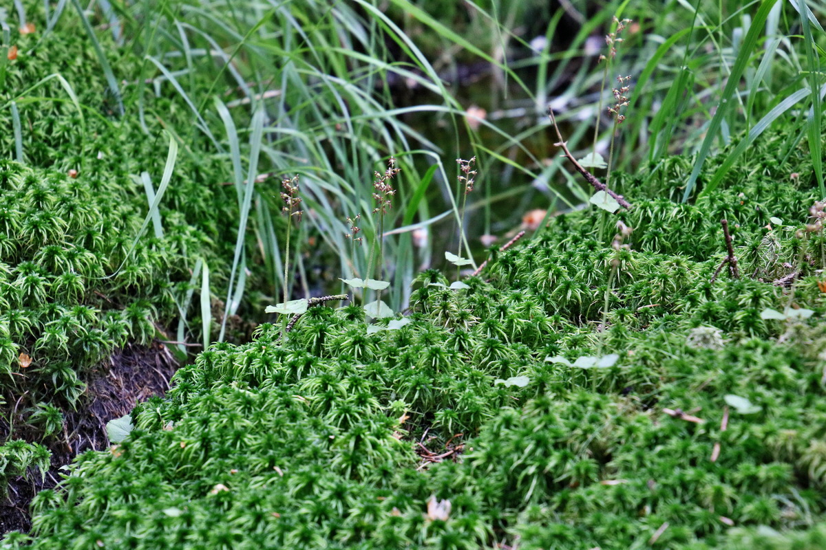 IMG-2016-06-04-00017828p_Bildgr��e �ndern