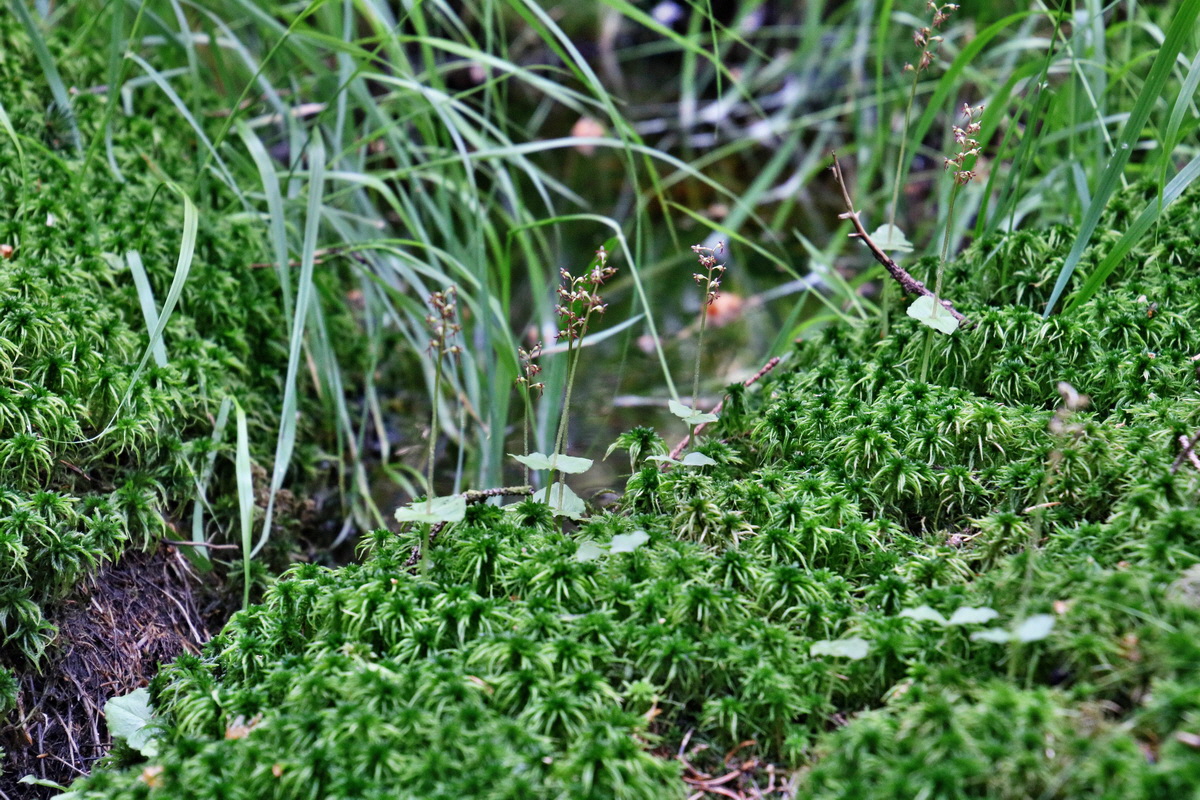 IMG-2016-06-04-00017831p_Bildgr��e �ndern