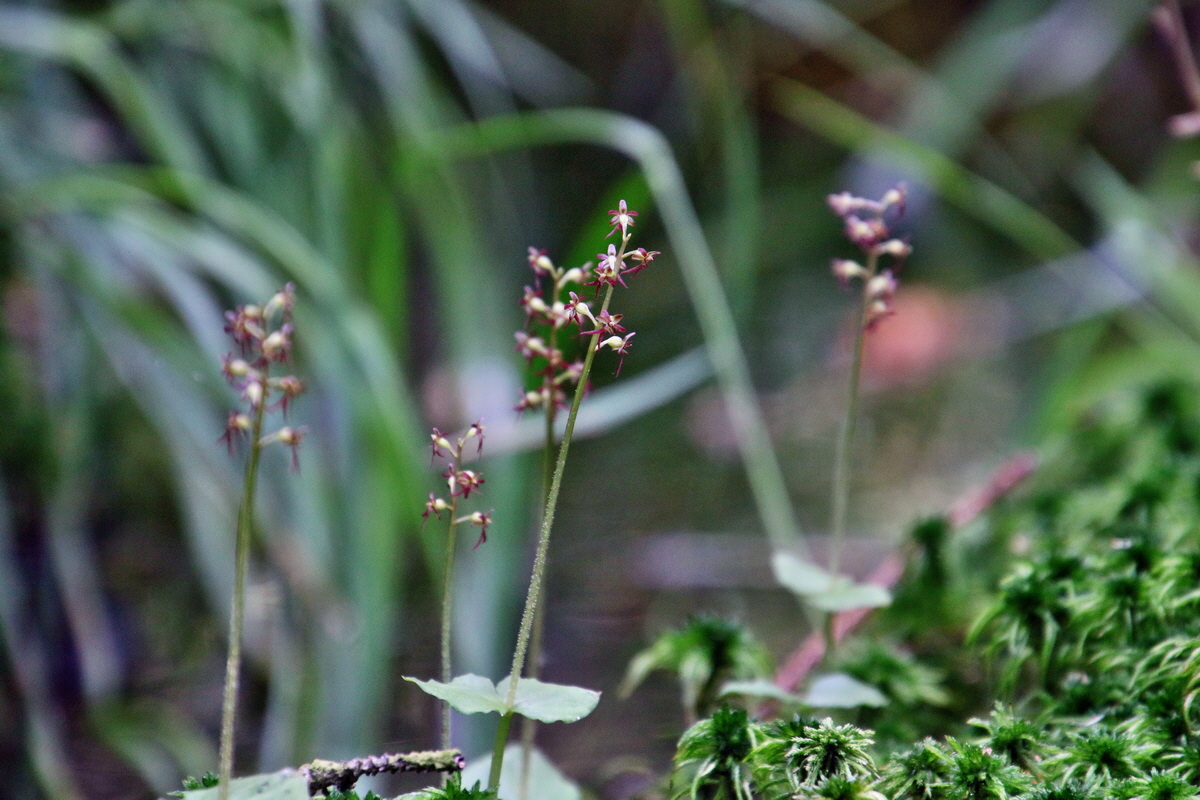 IMG-2016-06-04-00017832p_Bildgr��e �ndern