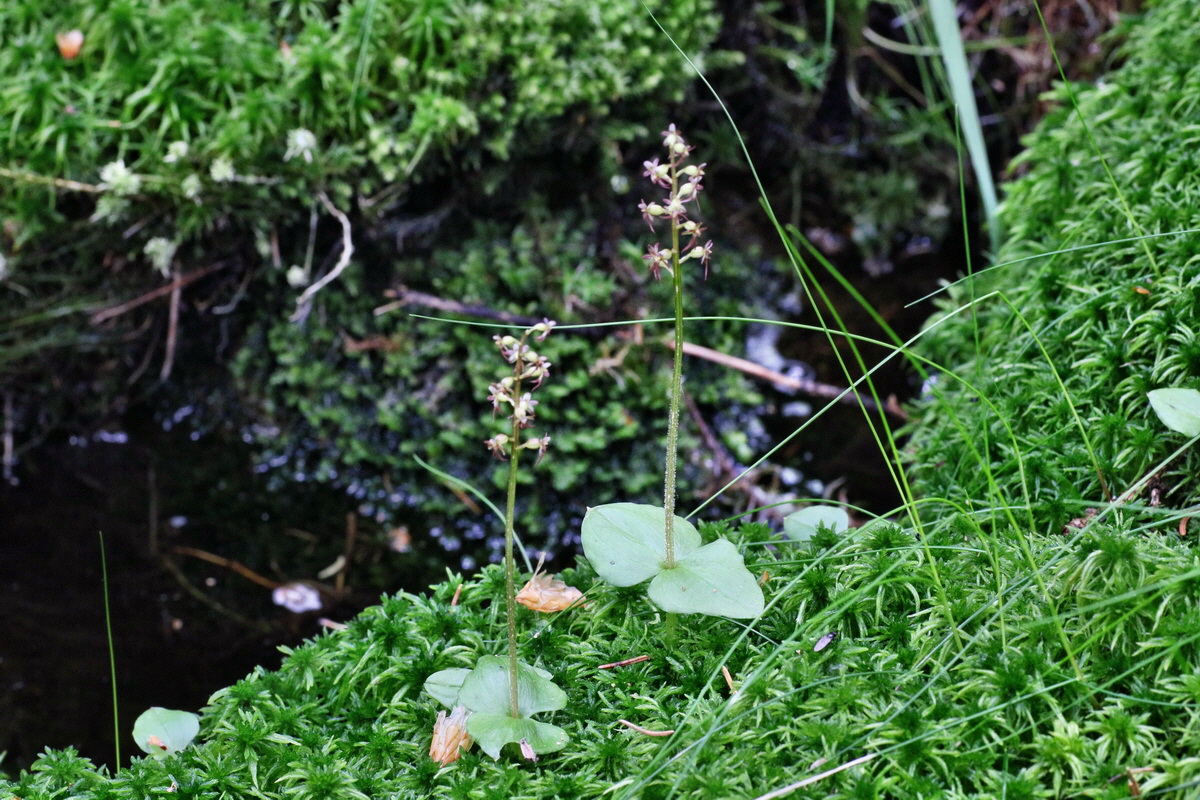 IMG-2016-06-04-00017839p_Bildgr��e �ndern