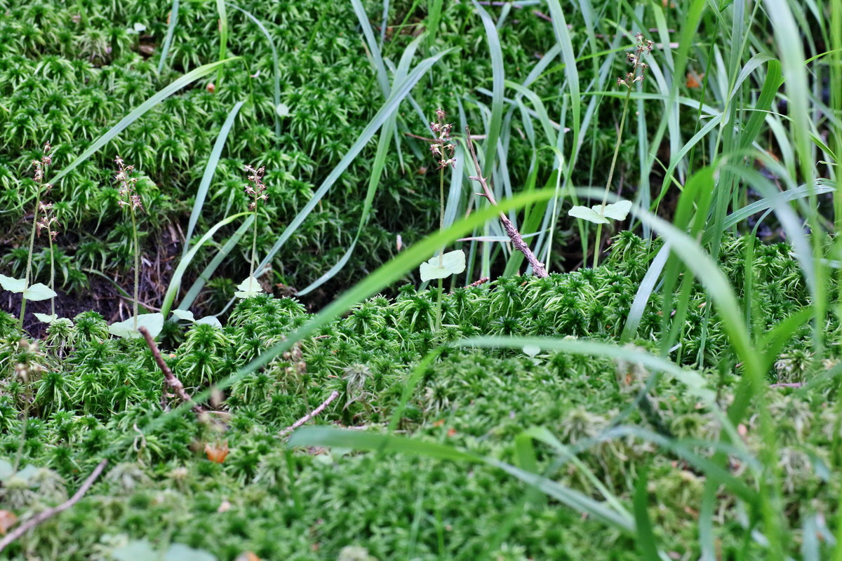 IMG-2016-06-04-00017845p_Bildgr��e �ndern