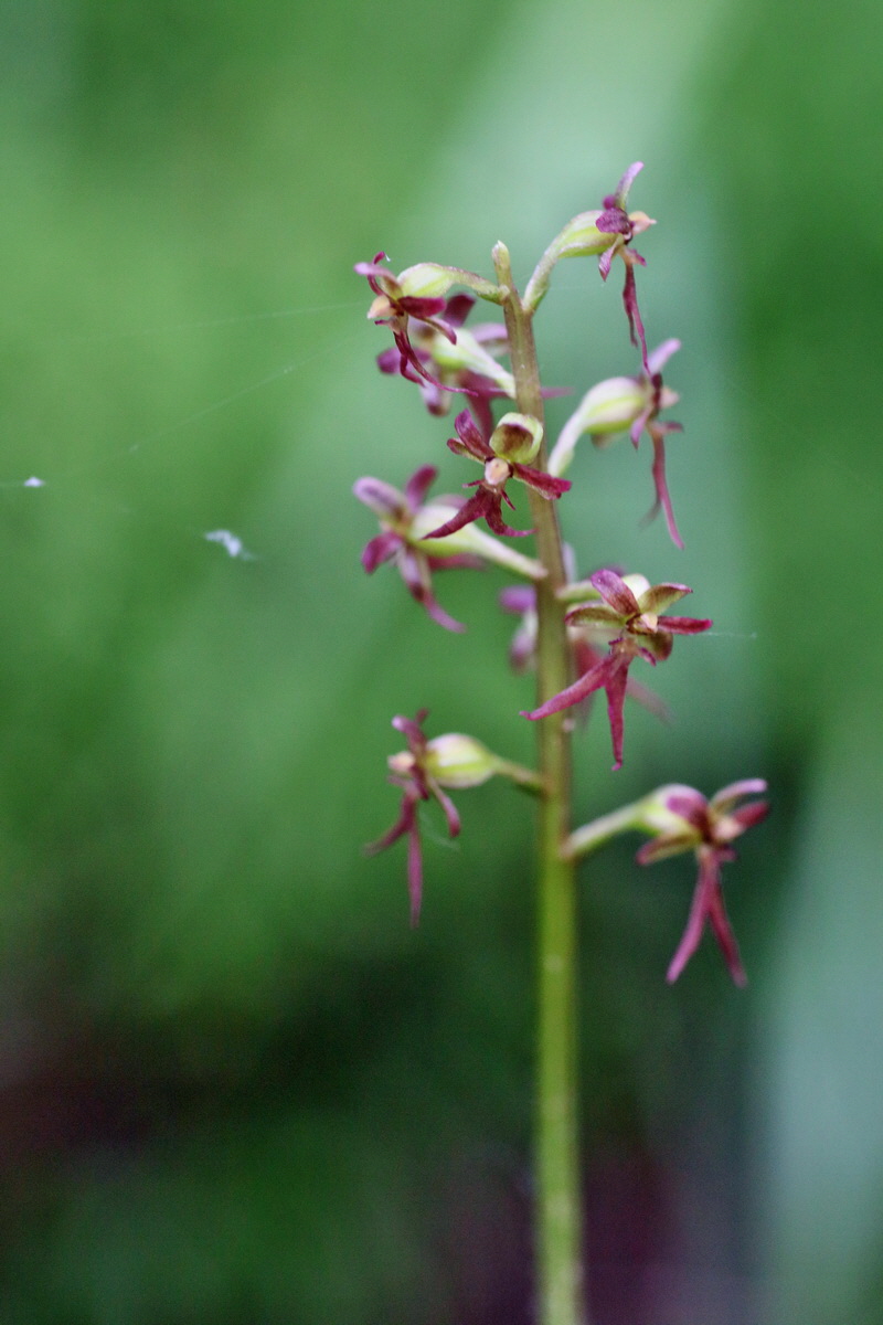 IMG-2016-06-04-00017856p_Bildgr��e �ndern