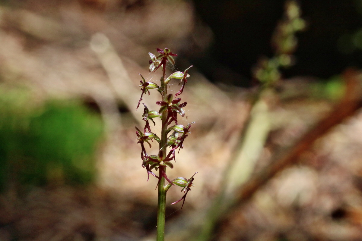 IMG-2016-06-04-00017864p_Bildgr��e �ndern