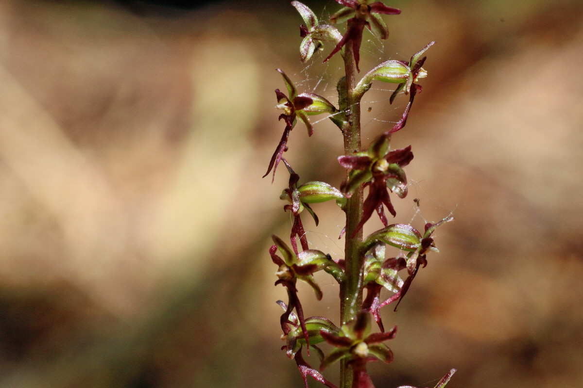 IMG-2016-06-04-00017866p_Bildgr��e �ndern