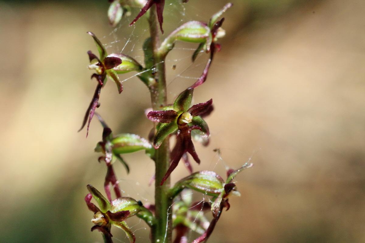 IMG-2016-06-04-00017876p_Bildgr��e �ndern