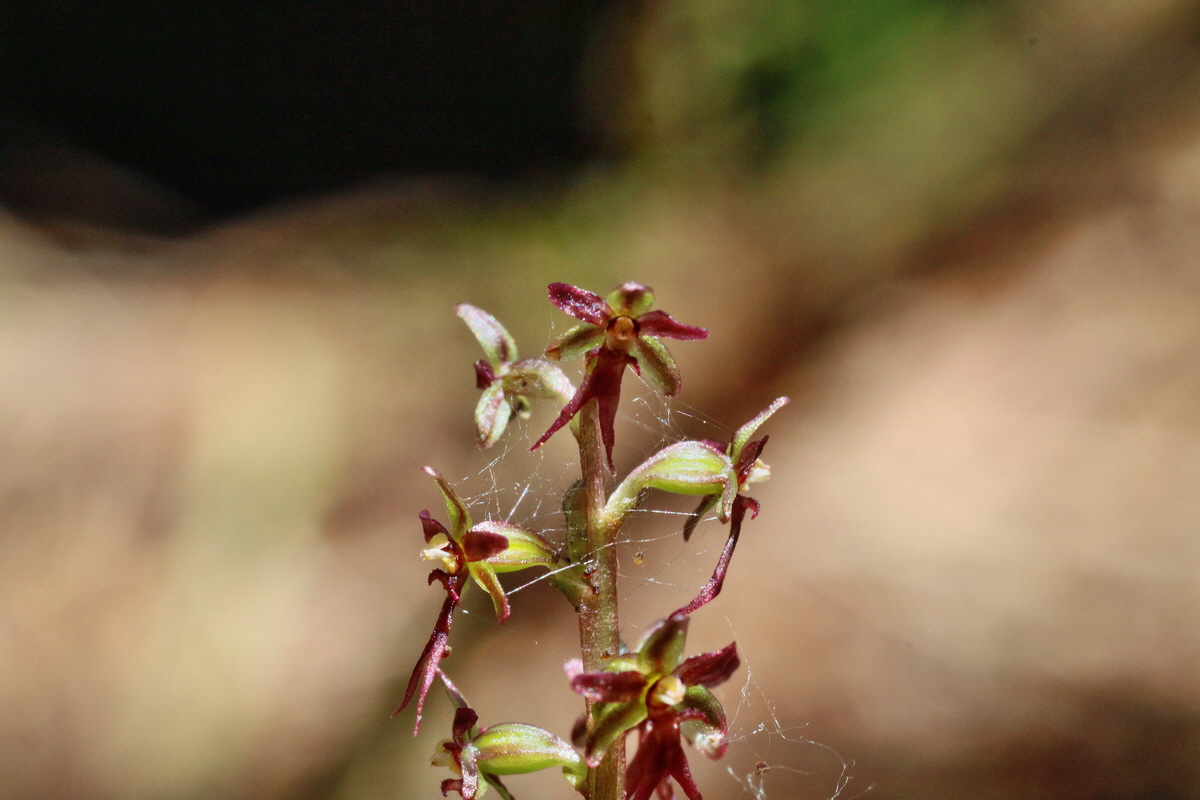 IMG-2016-06-04-00017881p_Bildgr��e �ndern