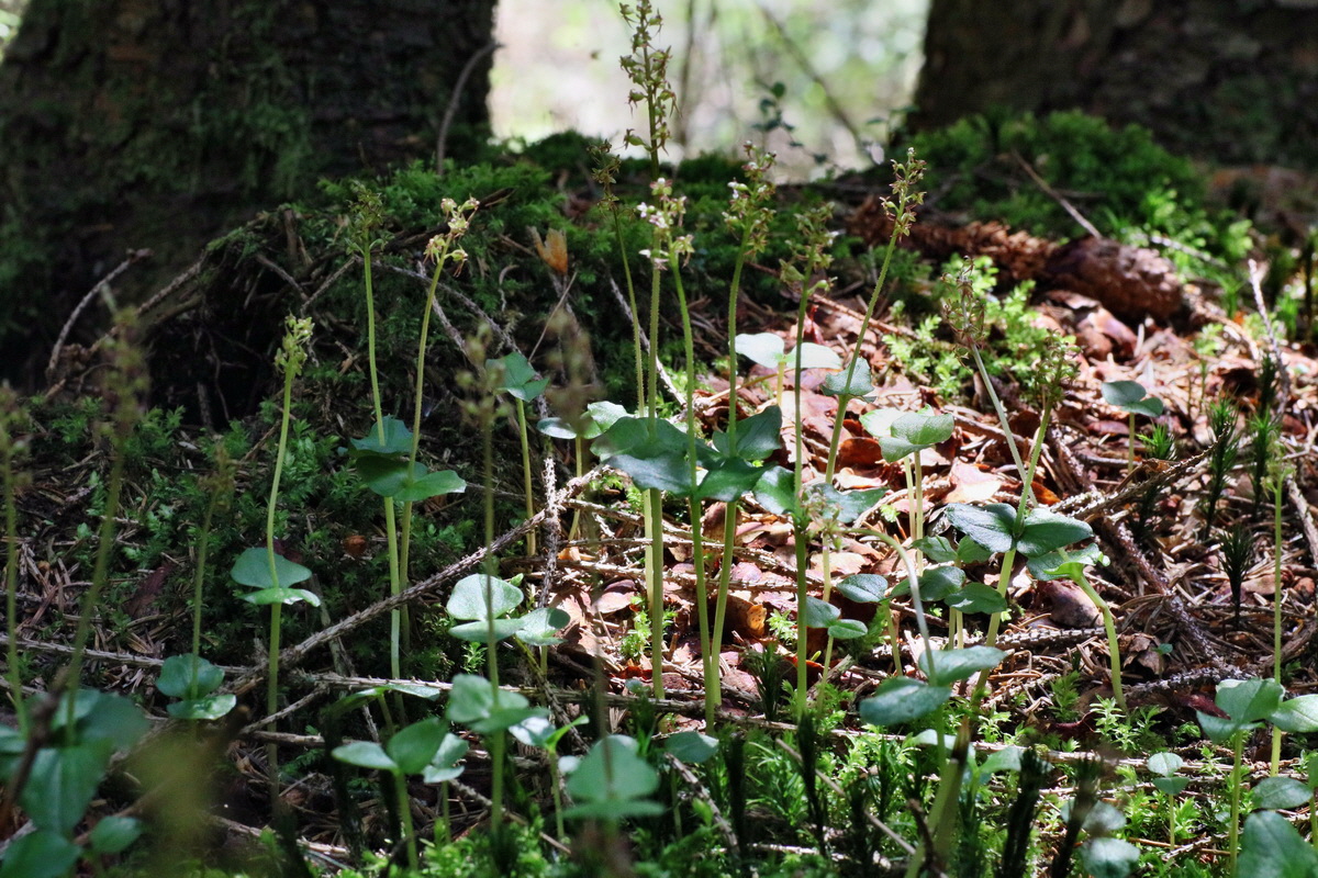 IMG-2016-06-04-00017890p_Bildgr��e �ndern