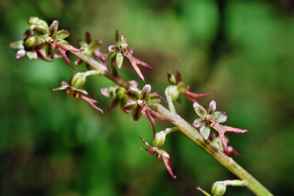 IMG-2016-06-04-00017898p_Bildgr��e �ndern