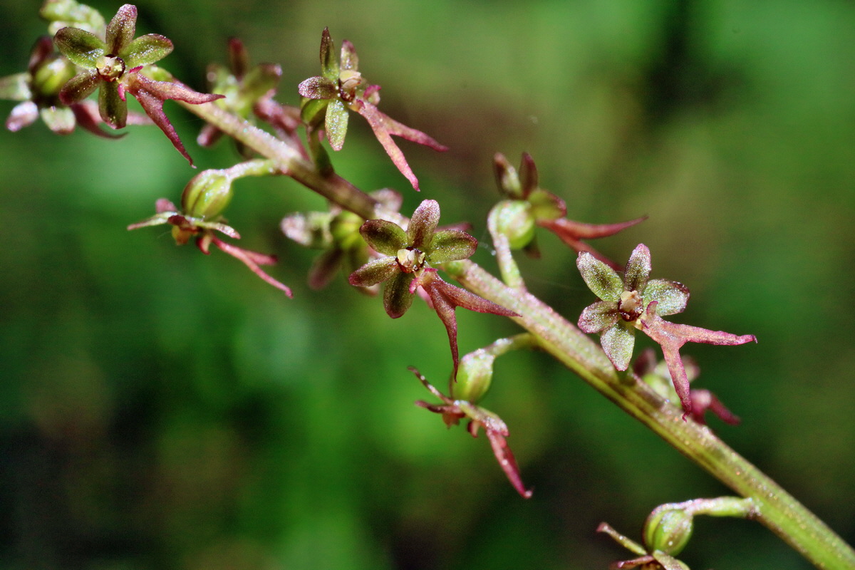 IMG-2016-06-04-00017905p_Bildgr��e �ndern