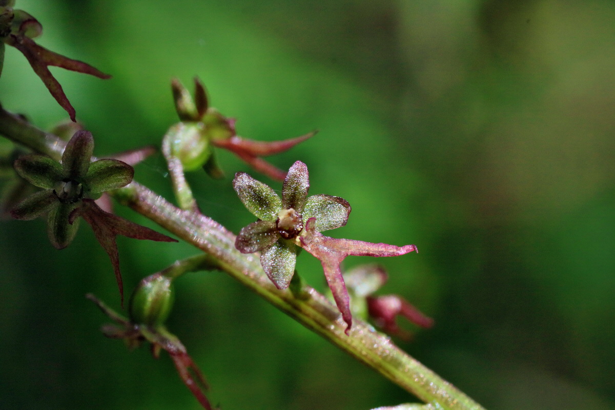 IMG-2016-06-04-00017916p_Bildgr��e �ndern