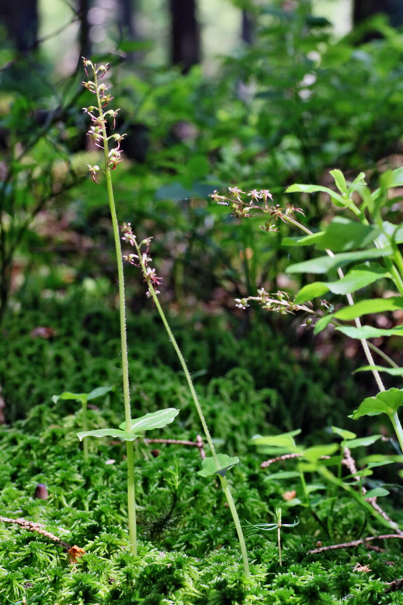 IMG-2016-06-04-00017926p_Bildgr��e �ndern