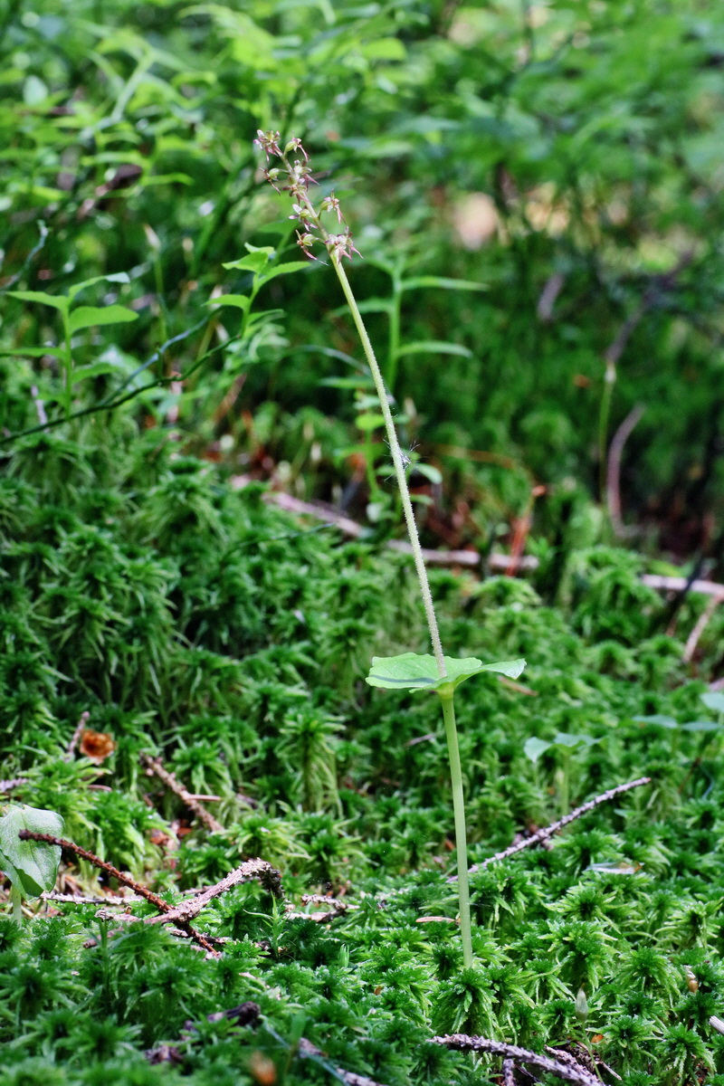 IMG-2016-06-04-00017928p_Bildgr��e �ndern